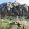 La Candelilla