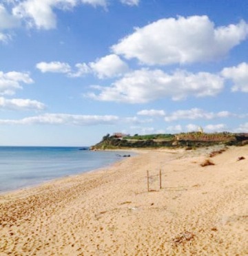 Lido Zabbara餐厅图片