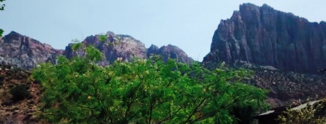 Thai Sapa餐厅图片