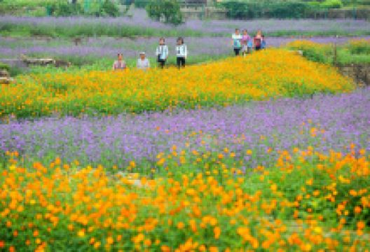 威远旅游图片-威远观光1日游