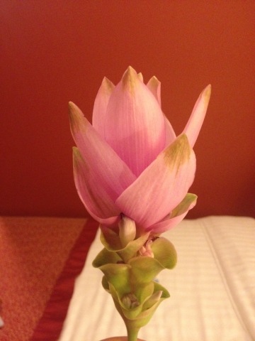 Garden of Eden餐厅图片