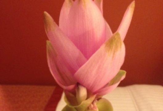 Garden of Eden美食图片