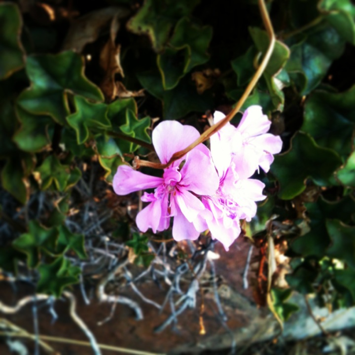 The Summit Cafe & Function Centre