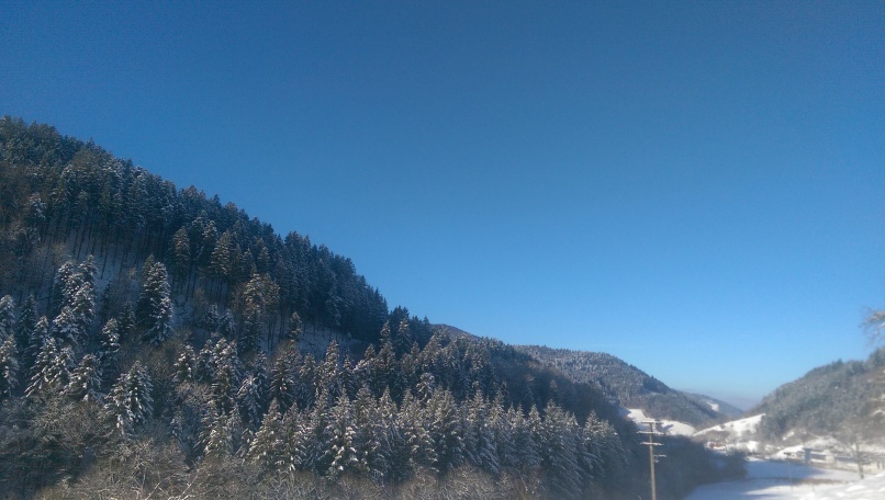 Landgasthaus Gruener Baum