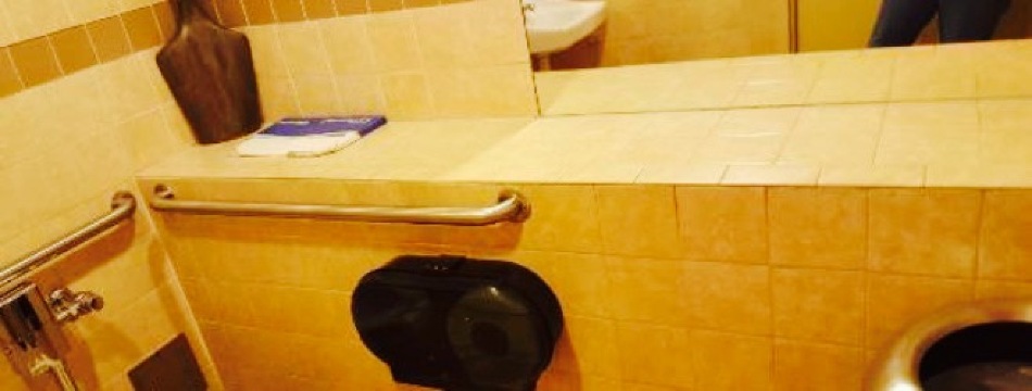 Dodge's Chicken Store