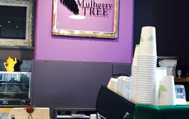 The Mulberry Tree