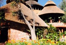 Safari Garden Centre购物图片