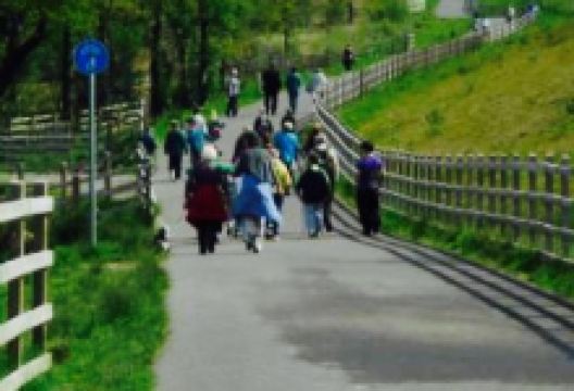 The Ship Inn美食图片