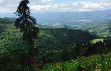 Restaurante Mirador Valle del General餐厅图片
