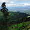 Restaurante Mirador Valle del General