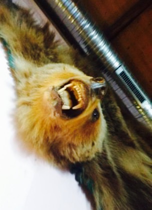 Na Statku餐厅图片