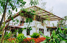 Restaurant Mindo Coffee Lodge餐厅图片