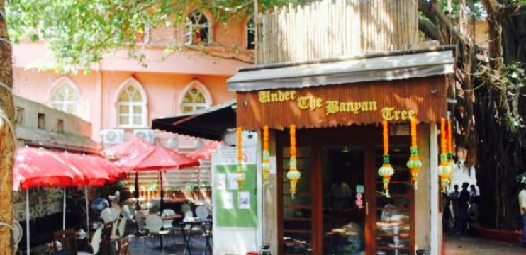 Under The Banyan Tree