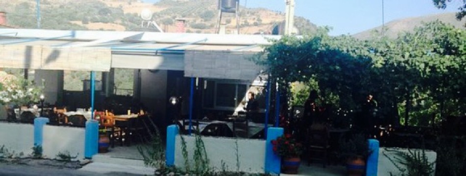 Oasis Tavern Cafe - Restaurant餐厅图片