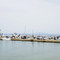 Manos Fish Tavern