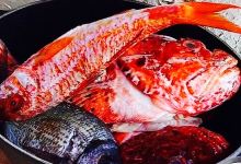 Konoba Štandarac美食图片