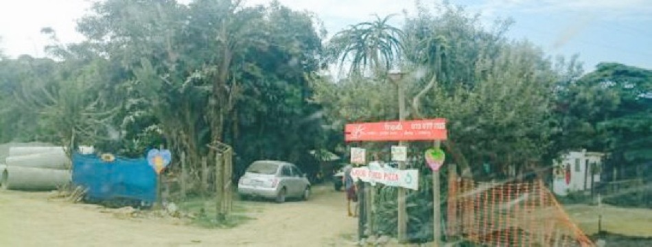 Friends Wild Coast Cafe