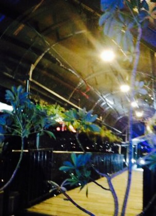 Cafe Sol餐厅图片