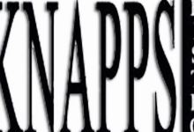 Knapps Bistro美食图片