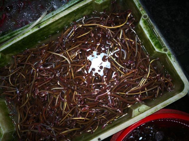 환구부두