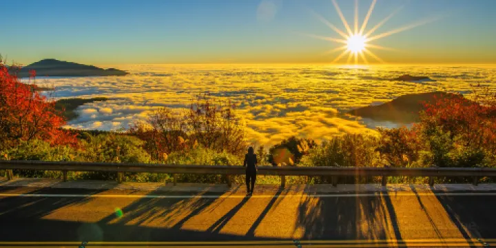 阿里山國家風景區