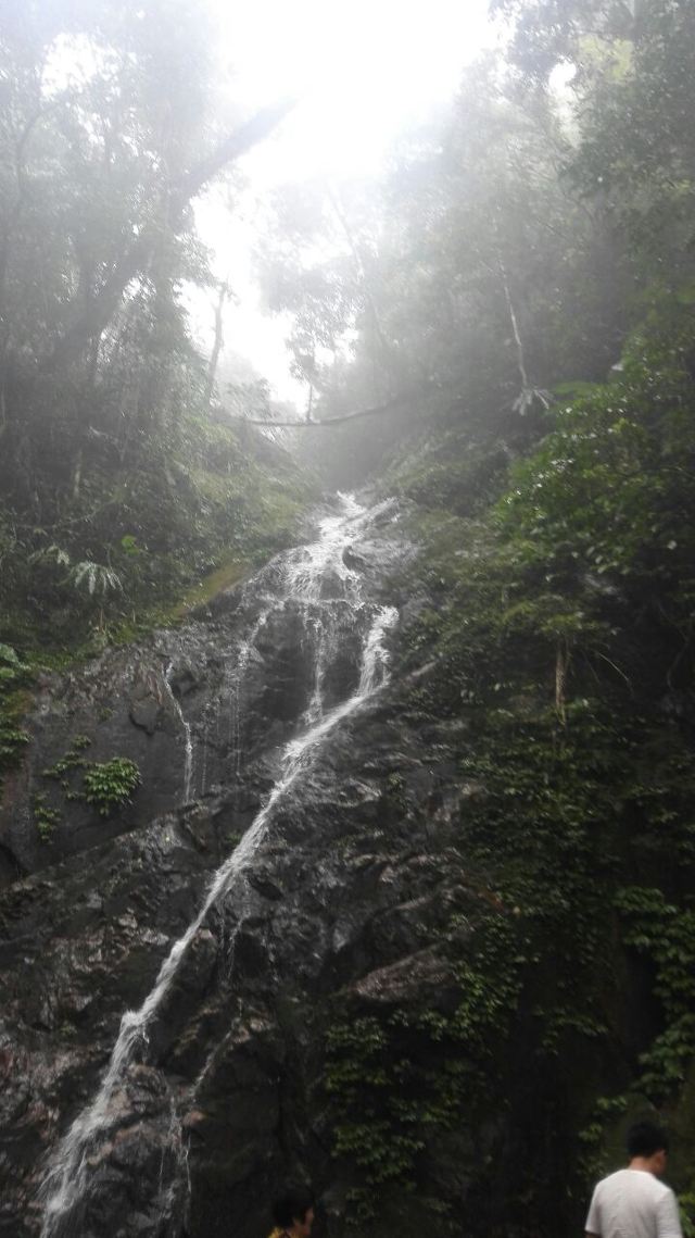 Wuzhishan Tropical Rainforest