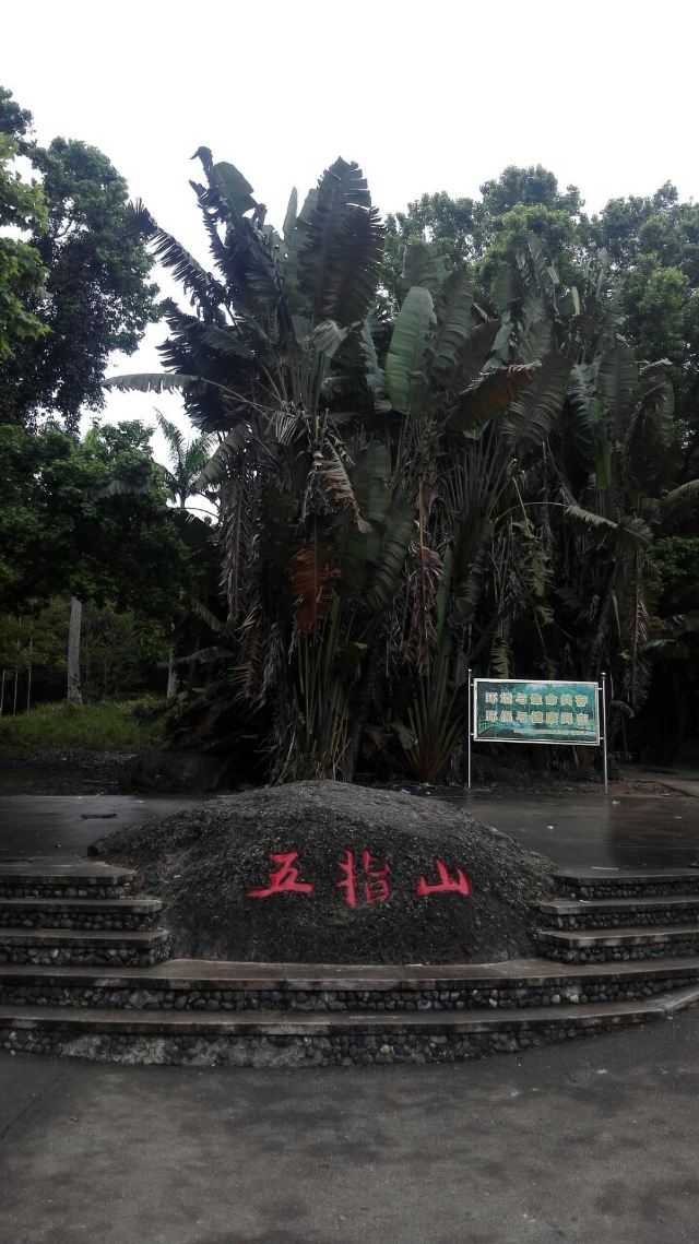 Wuzhishan Tropical Rainforest
