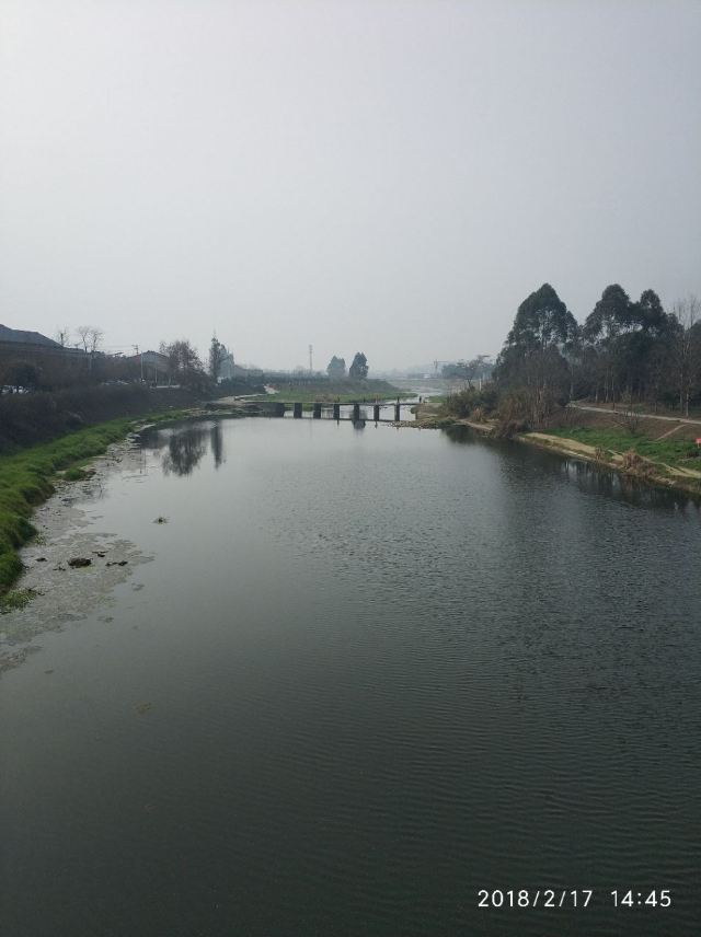 서래고진