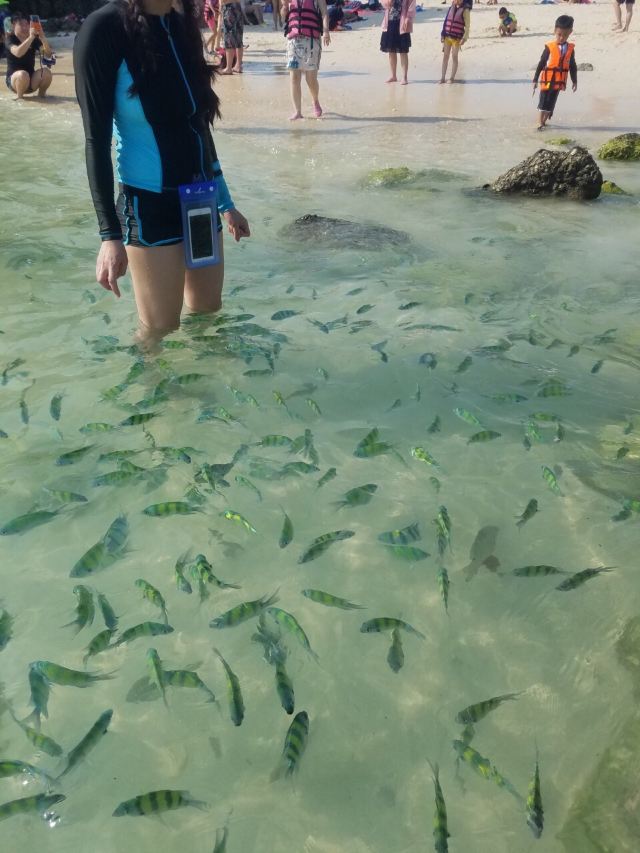 Koh Khai Nok