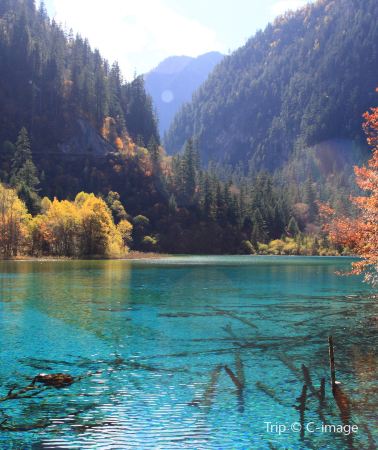 7D6N•Jiuzhaigou + Huanglong + Chengdu Panda Base + Dujiangyan + Qingcheng Mountain + Leshan Giant