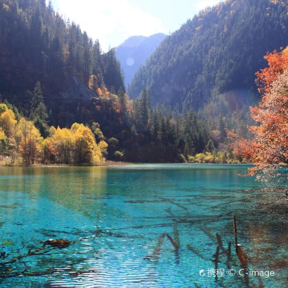 九寨沟+四姑娘山+乐山大佛+峨眉山+青城山+都江堰景区10日9晚私家团