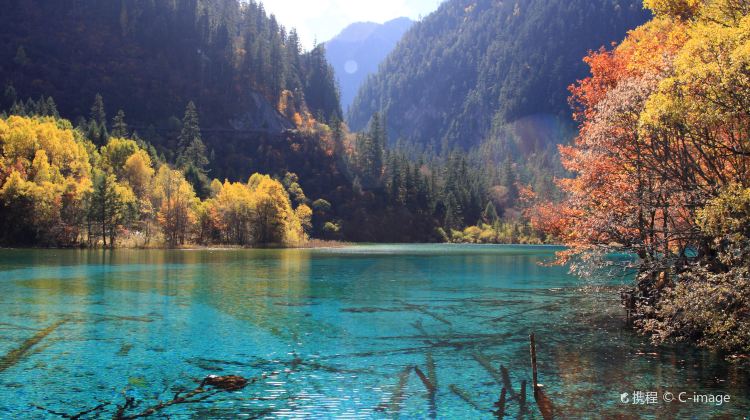 5-Day Chengdu + Dujiangyan + Dujiangyan Scenic Area + Chengdu Research Base of Giant Panda Breeding