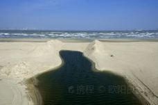 海底古森林-晋江-doris圈圈