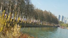 东湖梅园-武汉-YoYo_2K9U7R1V