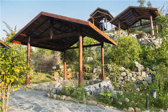 帝贝温泉餐厅图片