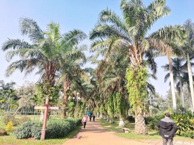 Jinniuling Park