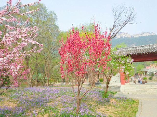 링옌사