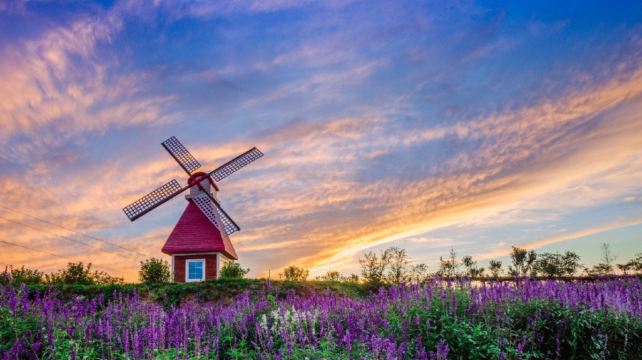 西部长青柳仙谷