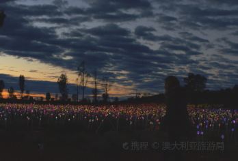 北领地乌鲁鲁摄影观星之旅【轻徒步/中文司导/度假村接送】【[轻徒步]设轻松徒步路线，免高强度运动，近触乌鲁鲁红石与原始地貌，兼顾舒适，适合不同人群参与。​】