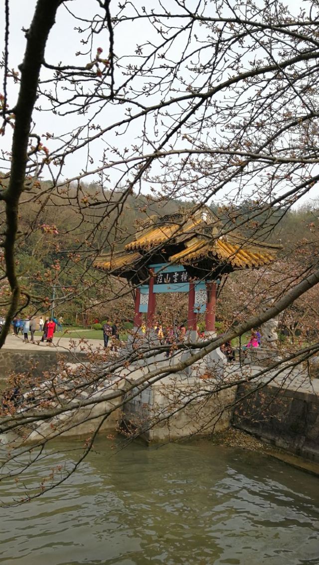 원두저(위안터우주)