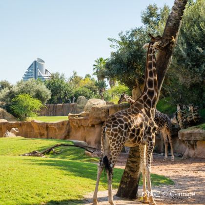 西班牙瓦伦西亚2日1晚自由行