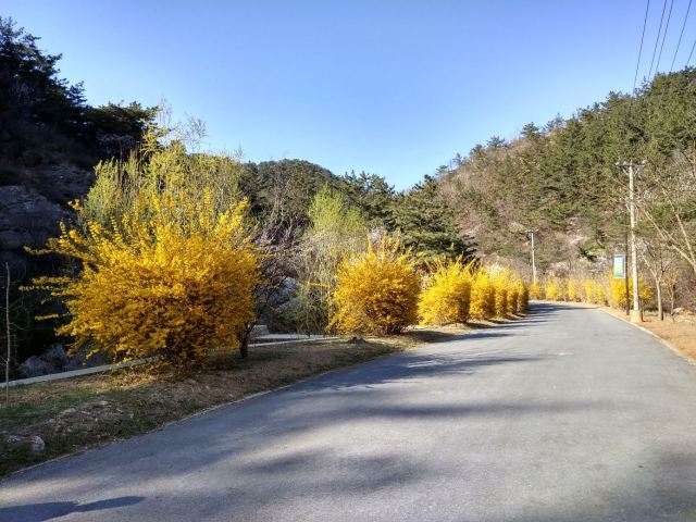 진롱쓰 국가삼림공원