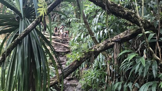 Liliuokalani Botanical Garden