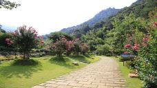 雁南飞茶田景区-桥溪古韵-梅州-doris圈圈