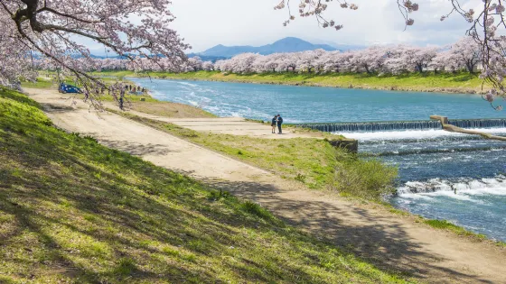 白石城