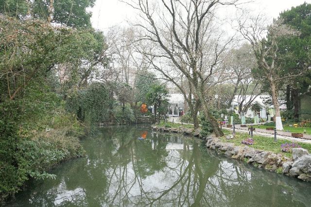 Yong Fu