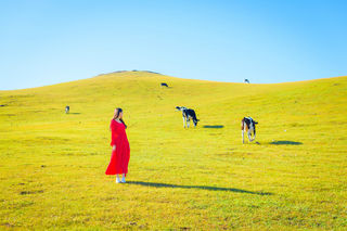 呼伦贝尔，我想重新认识你，从你的名字开始