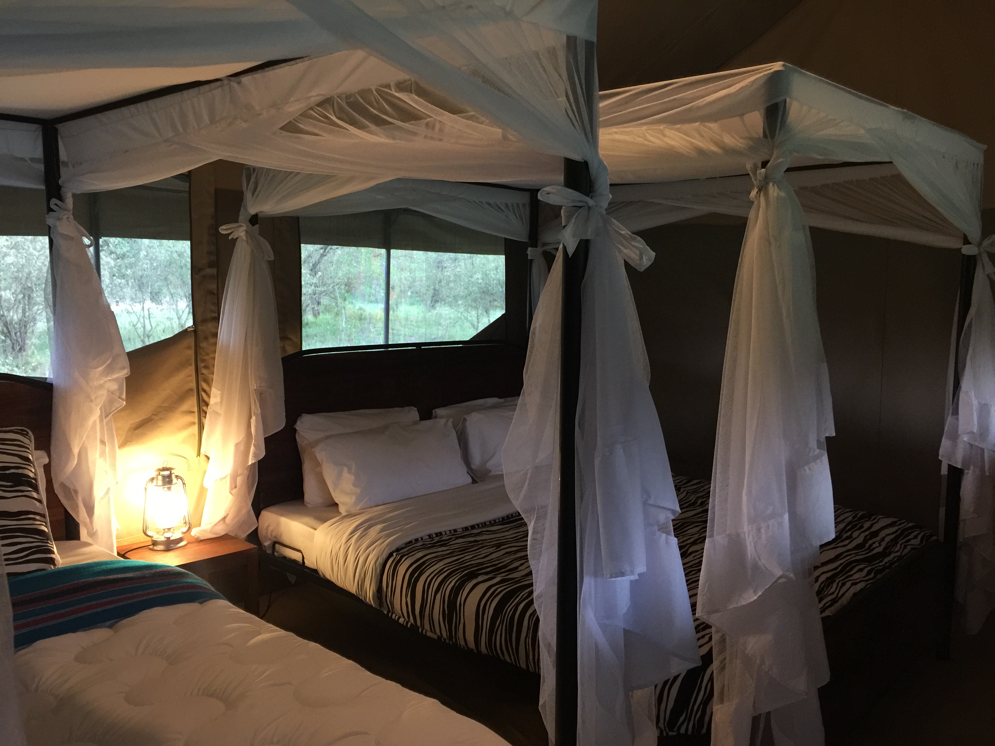 Acacia Migration Camp 帐篷酒店