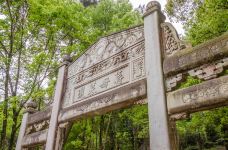 蒋母墓道-宁波-doris圈圈