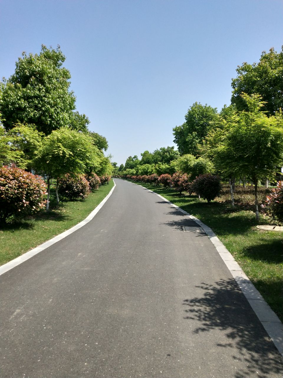 广德县无量溪滨河公园